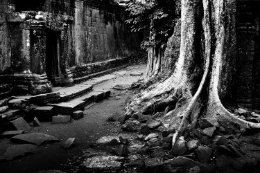 Joty Biegel; Angkor
